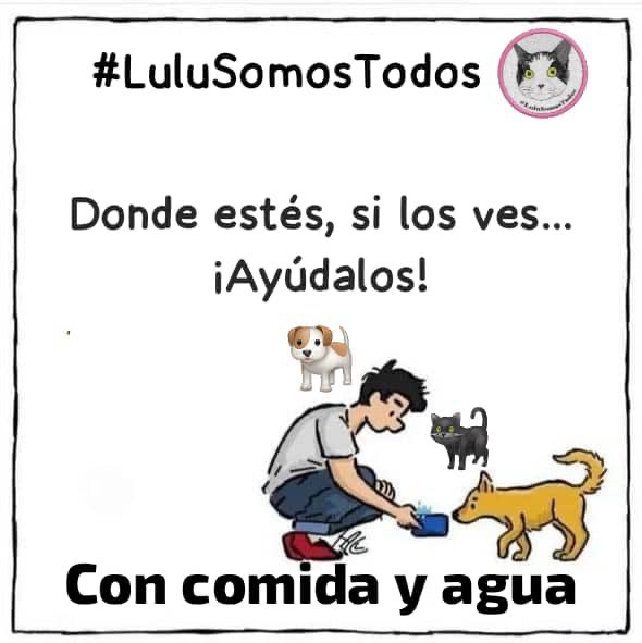 #28Ago Adopta, ayuda, apóyalos, dona, apadrina, empatiza con los proteccionistas, colabora, hazte voluntario, alberga sino donde puedas, dales de beber o comer, imítalos…dan amor, nos enseñan a humanizarlos #LuluEsDeTodos #LuluSomosTodos #Seguimos tras sus🐾🐾hasta encontrarte🖤