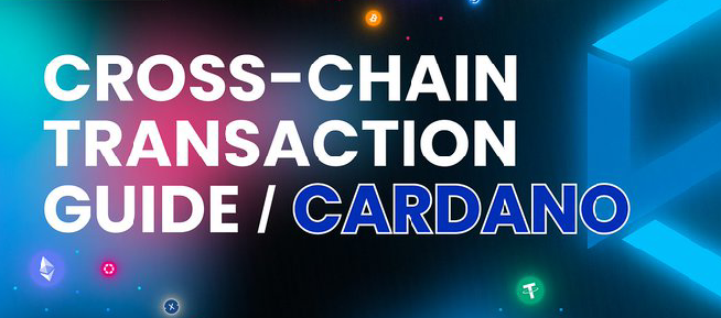 JaneSil50's tweet photo. Unsure how to move assets like #USDC and #BTC    to/from #Cardano? It's easy!👇 

1️⃣ Go to https://t.co/Xm1xXJnvkZ
2️⃣ Connect your wallet
3️⃣ Select the relevant asset
4️⃣ Select the networks
5️⃣ Enter the receiving adress
6️⃣ Click confirm

#WeAreAllConnected https://t.co/cSa2JO6suR
