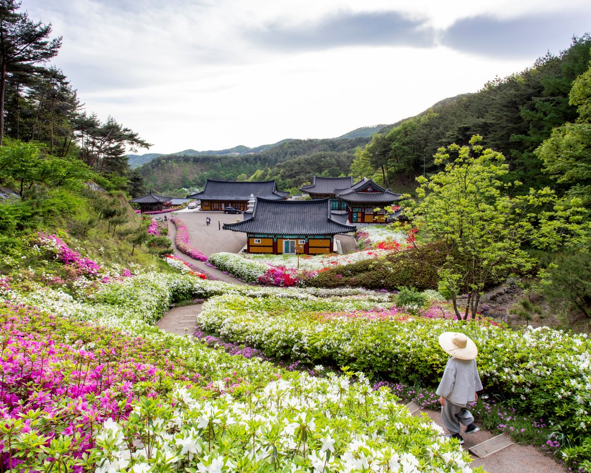 Cheongyang Ansimsa Temple

➡️ Download our free Korean app: dekikan.jp/dekikan_en.html (Or search for "can korean" on Google Play or App Store.)

#koreanlesson #koreanwords #learnkorean
#koreanlearningapp #hangul #studykorean #cankoreanapp #koreanteacher #korean #Ansimsa #Cheongyang