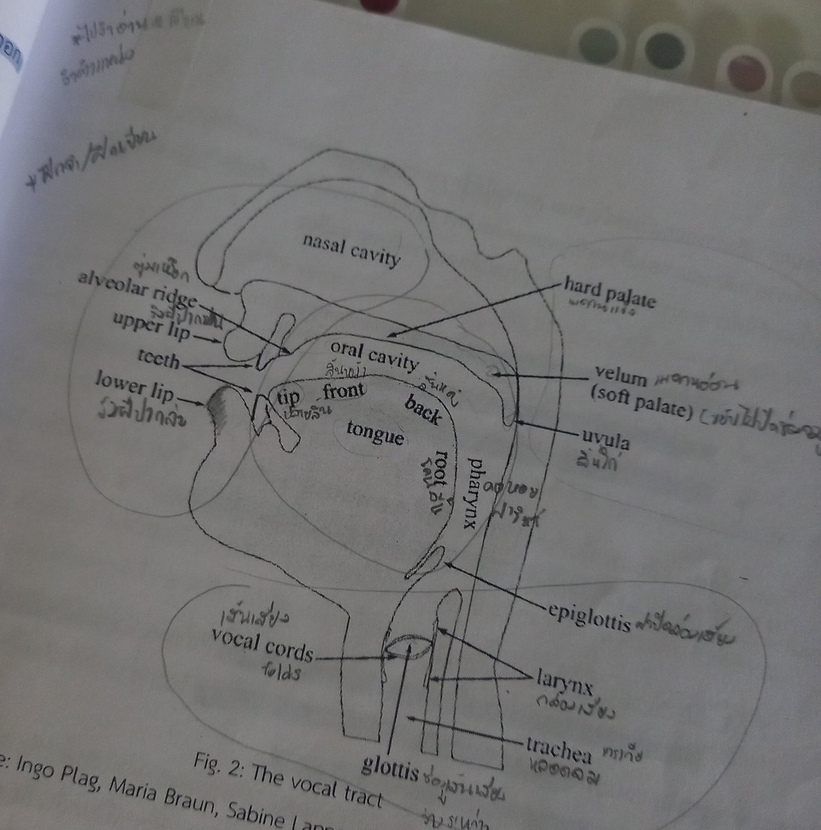 ทำไมกูต้องมาจำอะไรแบบนี้ด้วยวะ🤬