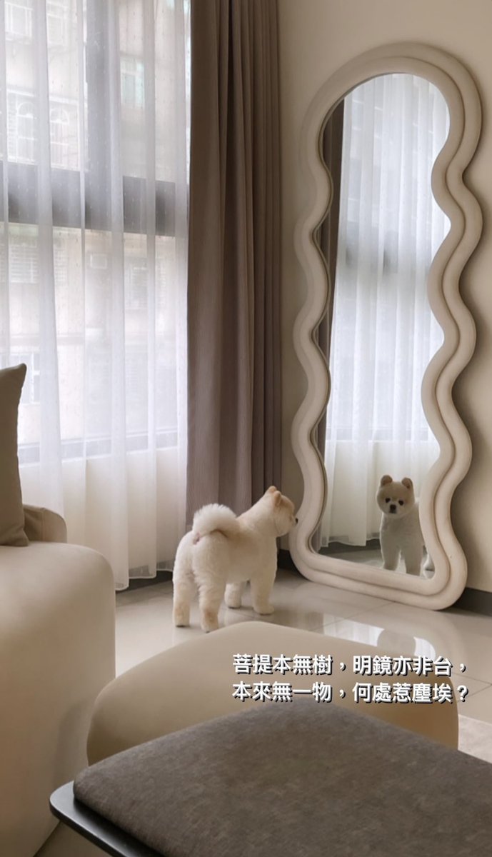 Mia (@mia27740474) on Twitter photo 