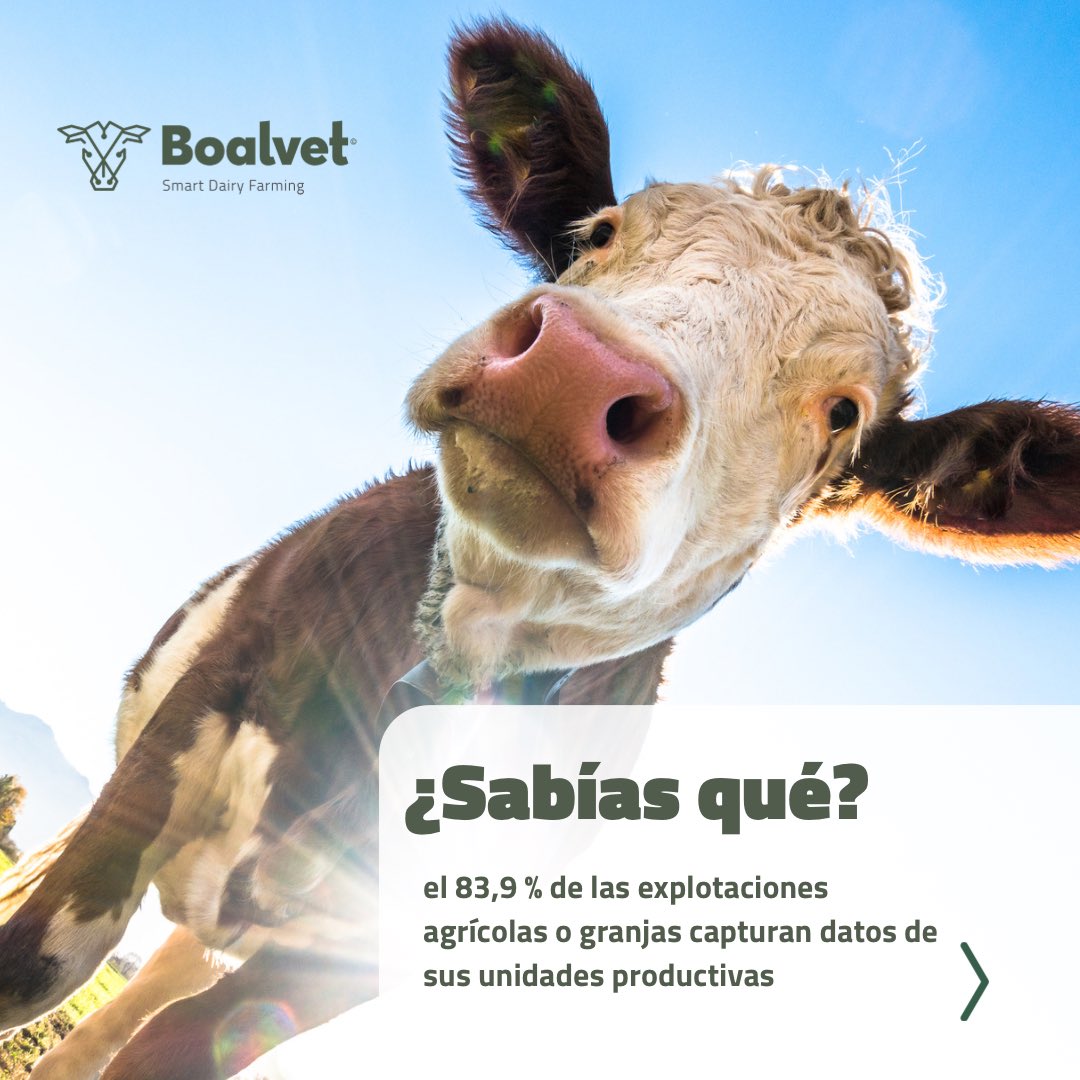 BoalvetAI's tweet photo. ¿Sabías qué🤔?

El 83,9 % de las explotaciones agrícolas o granjas capturan datos de sus unidades productivas, lo que expande las posibilidades de realizar una mejor gestión de los insumos agroalimentarios y la mejora de los actuales sistemas de inteligencia artificial. https://t.co/laIJlJhVsg