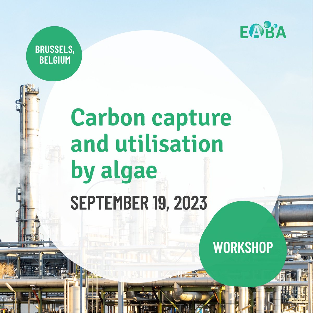 After a short summer break, EABA events are back with a workshop! ✏️ Register and see the programme at: algaeworkshops.org/algae-workshop… #algae #microalgae #seaweed #biomass #marinebiology #research #innovation #science #carbon #ecosystem #LCA #madebyalgae #madeinocean