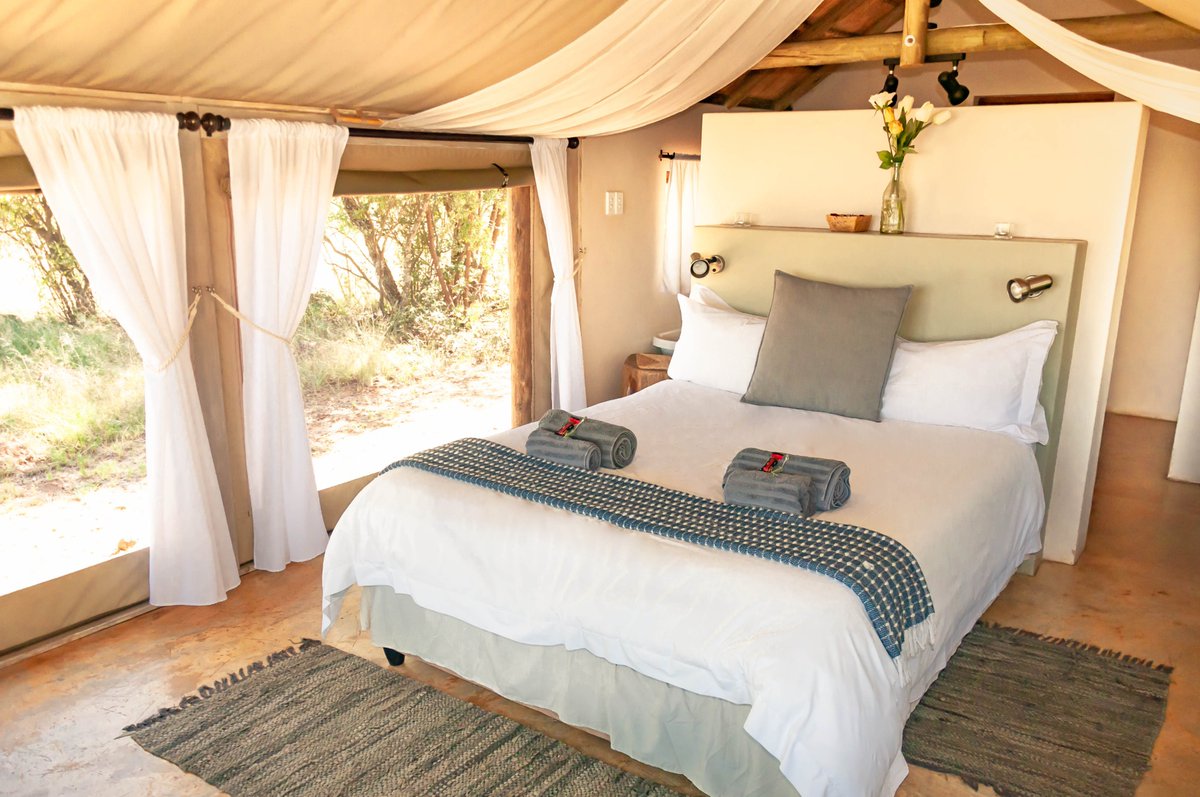 We have a midweek special until the end of September! Get 35% off from Sunday to Thursday nights.

Book your Spring getaway now at bsorah.com

#glamping #getaway #Harties #Magalies #luxury #tent #specialoffer