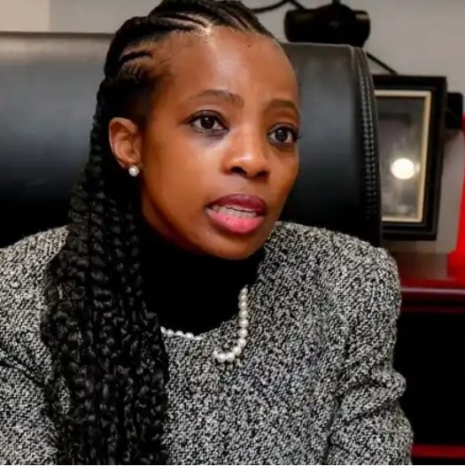 FsTebza's tweet image. #PublicProtector