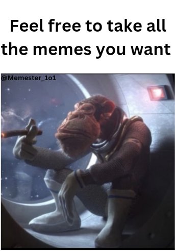 Memester tweet media