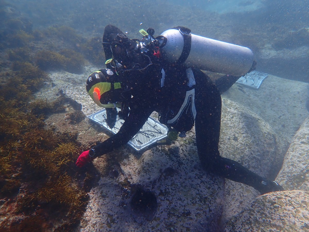 Operation Crayweed tweet media