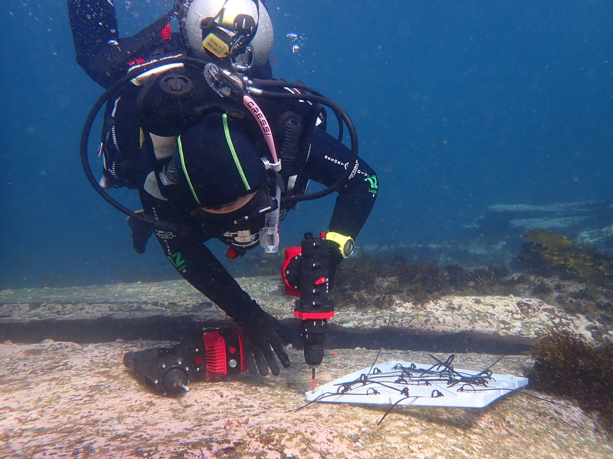 Operation Crayweed tweet media