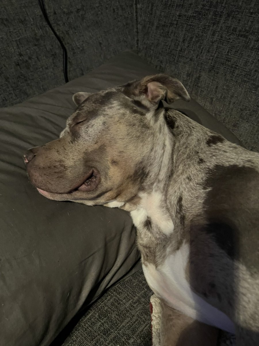 Settling in my new home