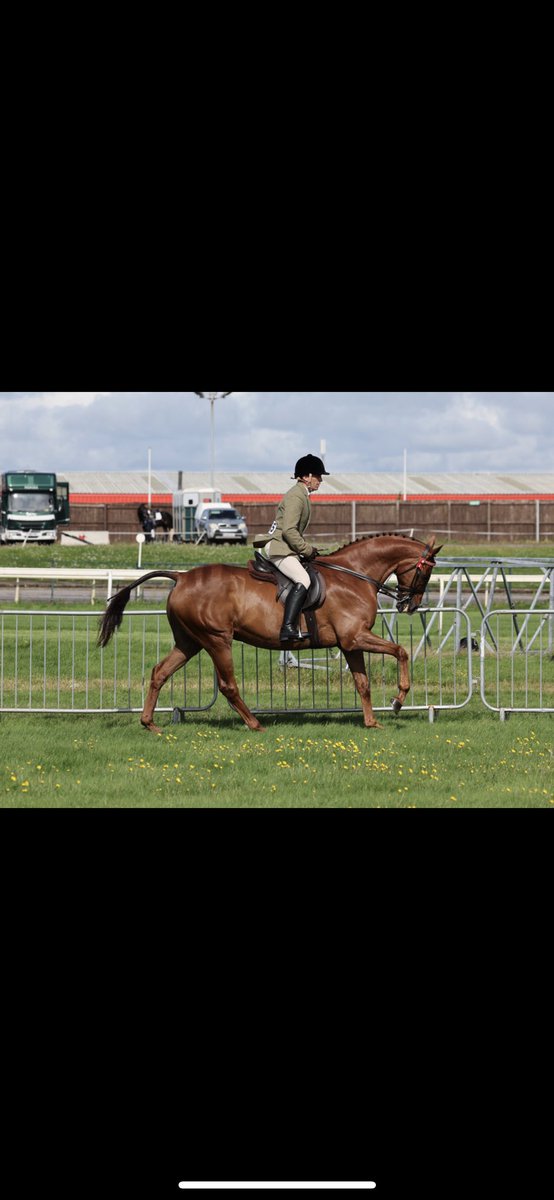 Andy Robertson tweet media