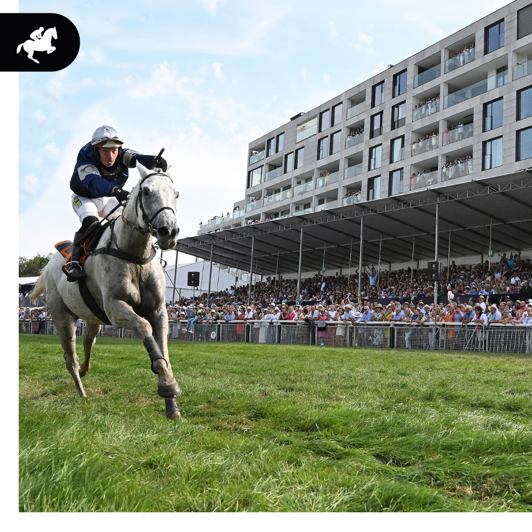 De winnaar van de ING Grote Steeple Chase van Vlaanderen 2022, Polinuit, onder leiding van trainer François Nicole, wordt uitgedaagd door de legendarische trainer Patrice Quinton. Met volle vertrouwen gaat hij de strijd aan. 🙌🙌