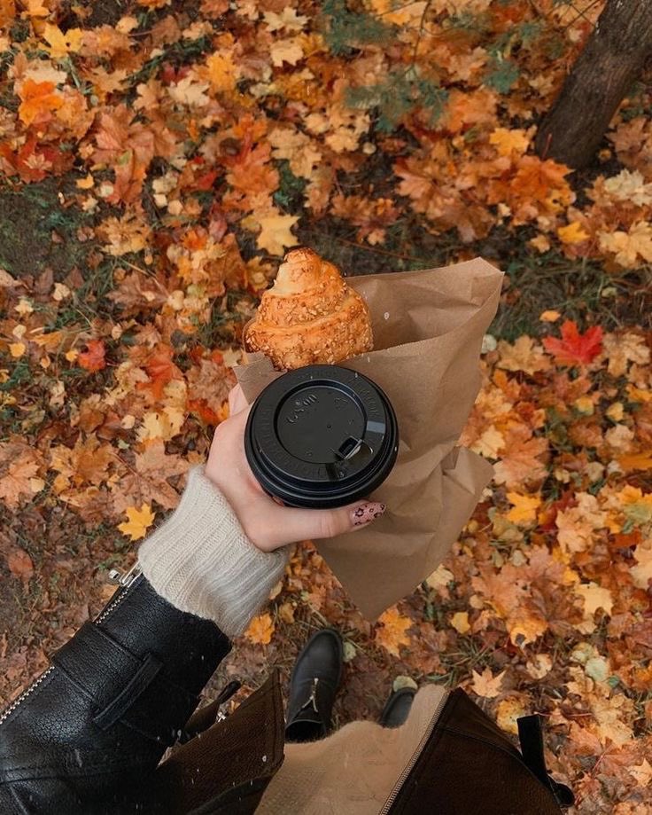 Lady_Loina's tweet image. Life is better in autumn 🍂😌 #fallaesthetic #autumn