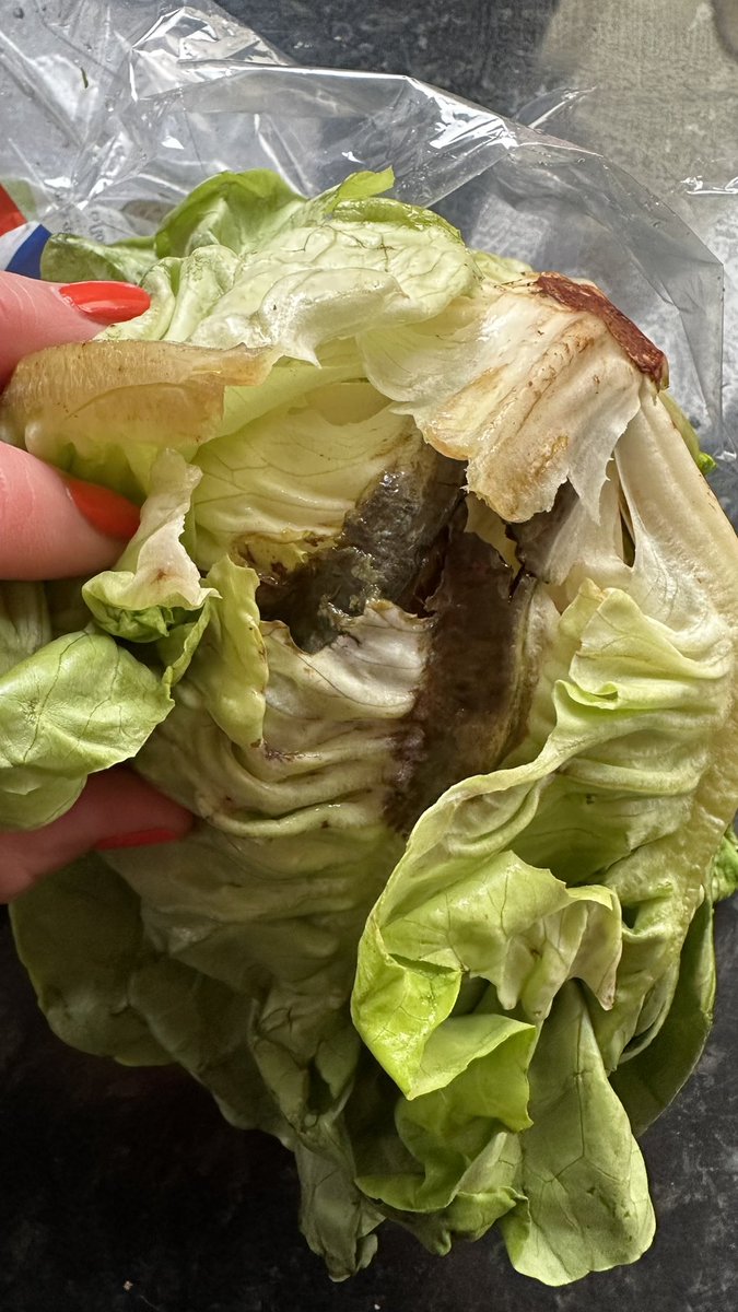 Lou Johnson tweet media