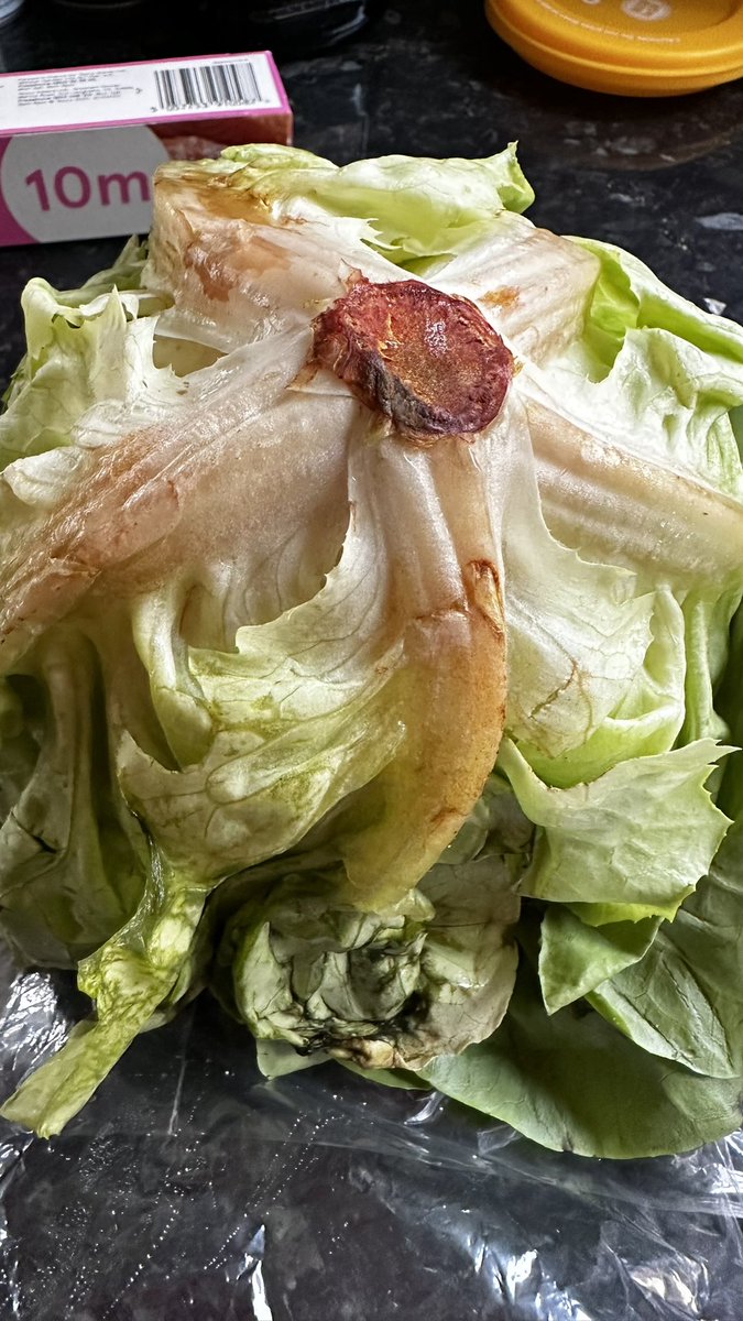 Lou Johnson tweet media