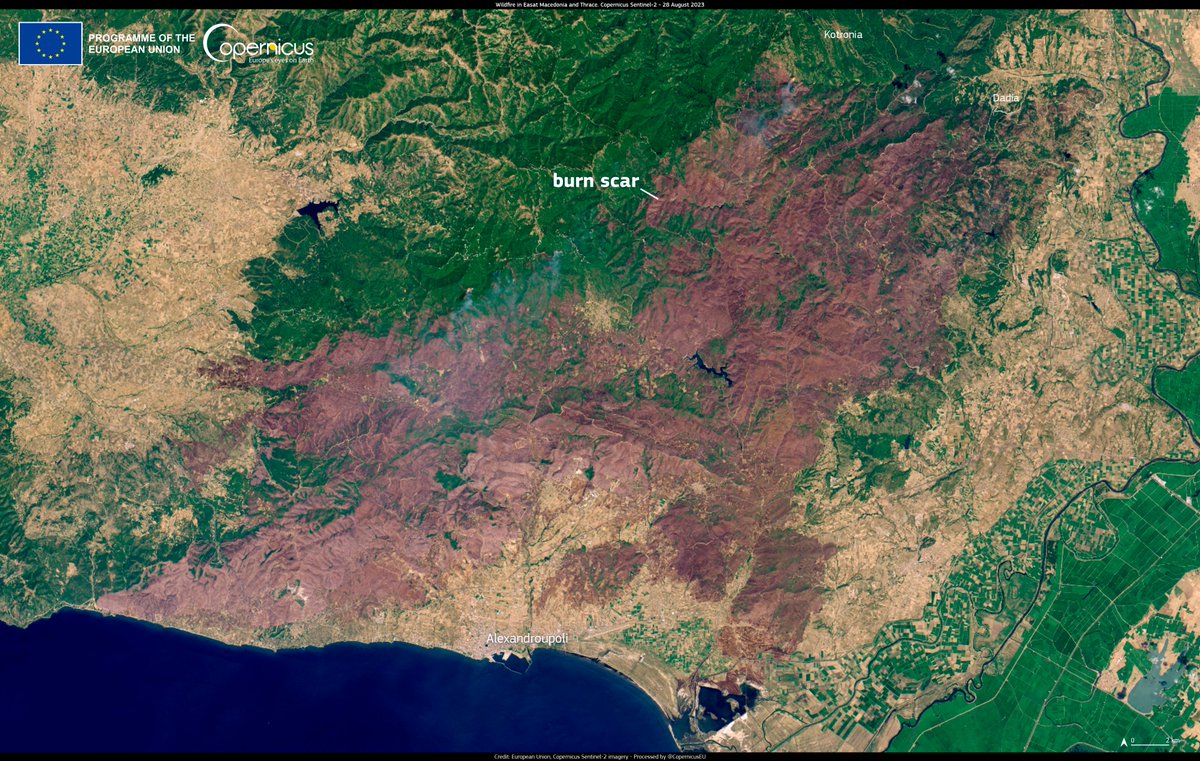 #ImageOfTheDay

The historic fire in the #Evros area of Greece🇬🇷 is approaching the towns of #Kotronia and #Dadia

🔴The Dadia forest and National Park have been severely affected
🔴8⃣0⃣,8⃣7⃣3⃣ hectares burned

⬇️The burn scar as seen by #Copernicus #Sentinel2🇪🇺🛰️ on 28 August