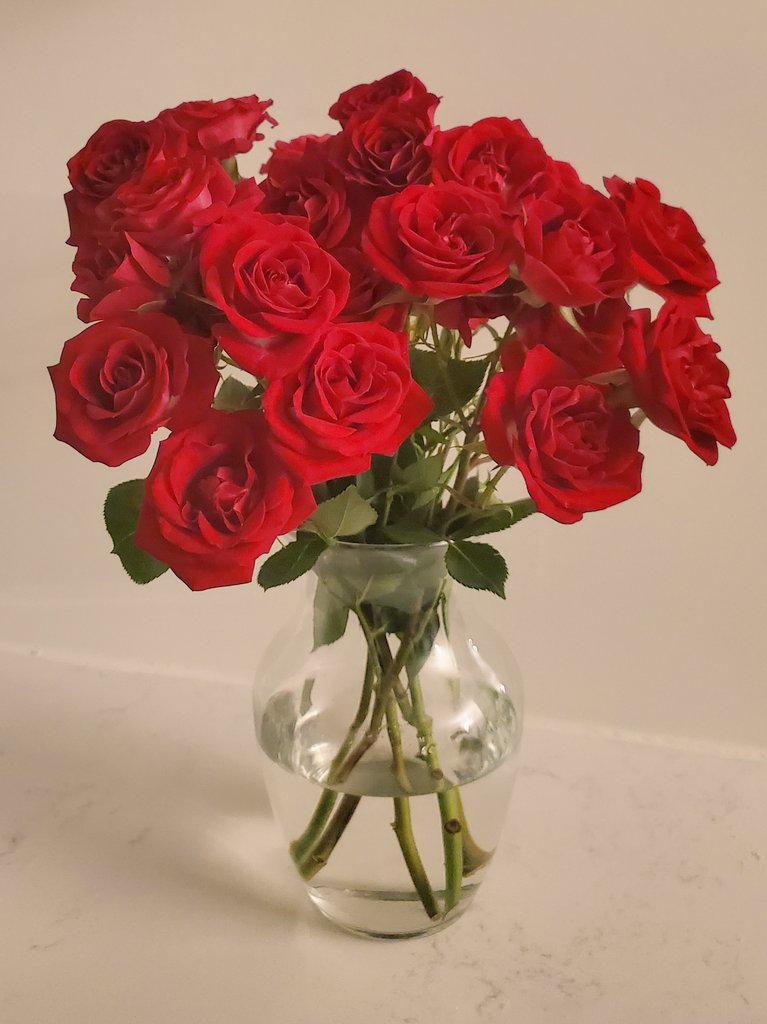 Ver_Vermillion's tweet photo. Got you some roses. Feel better soon! You'll do just fine, my Villions 🥰 https://t.co/StfPJYJD1A