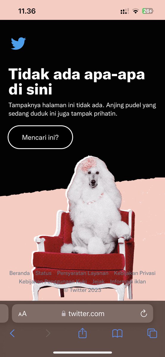 gini mulu, ada yg sama gak😫