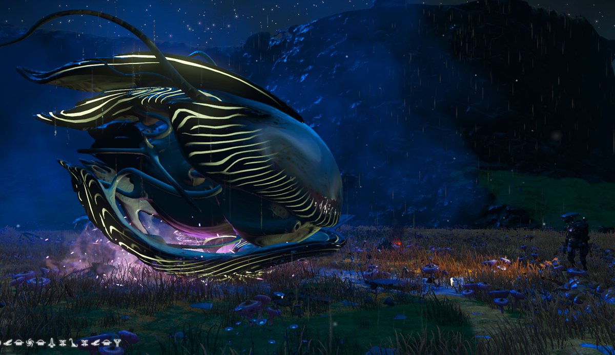 LenaSumel's tweet image. Te vi, me viste, nos reconocimos enseguida pero tarde... #NoMansSkyEchoes  #1ra #livingship