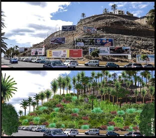 StopArboricidio's tweet photo. ¿Y si plantamos árboles en vez de "plantar" vallas?

#MásÁrbolesUrbanos https://t.co/KZ0mALHYaF