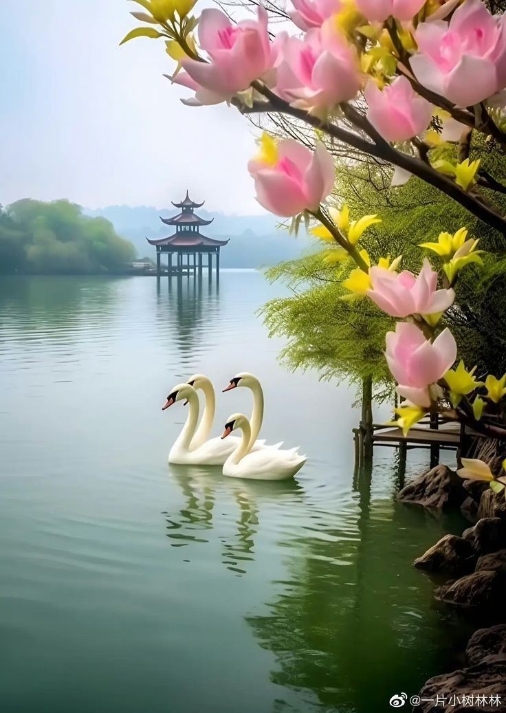 Good Morning my Friends 😘❤️💋
Happy New Day Everyone ❤️ 💋🥰
