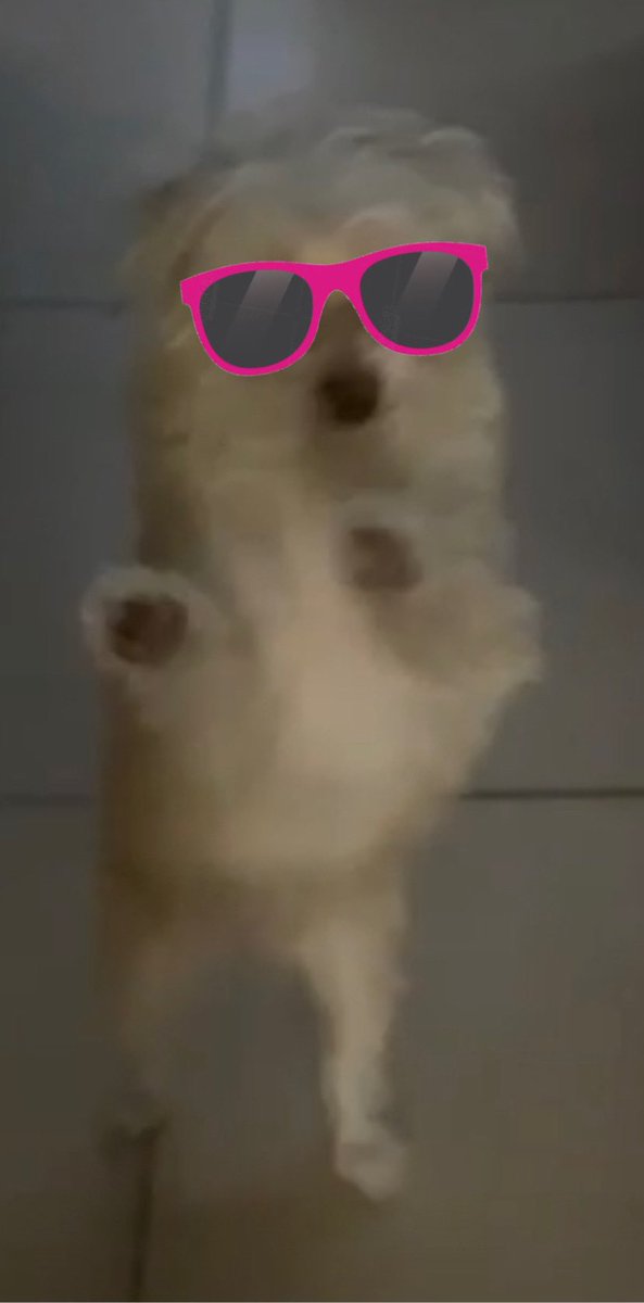 Gerabouchain tweet media