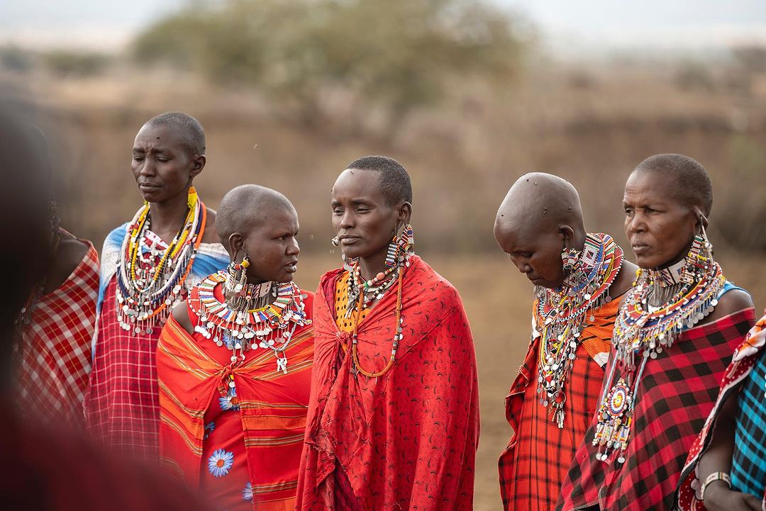 Elephant Pepper Camp tweet media