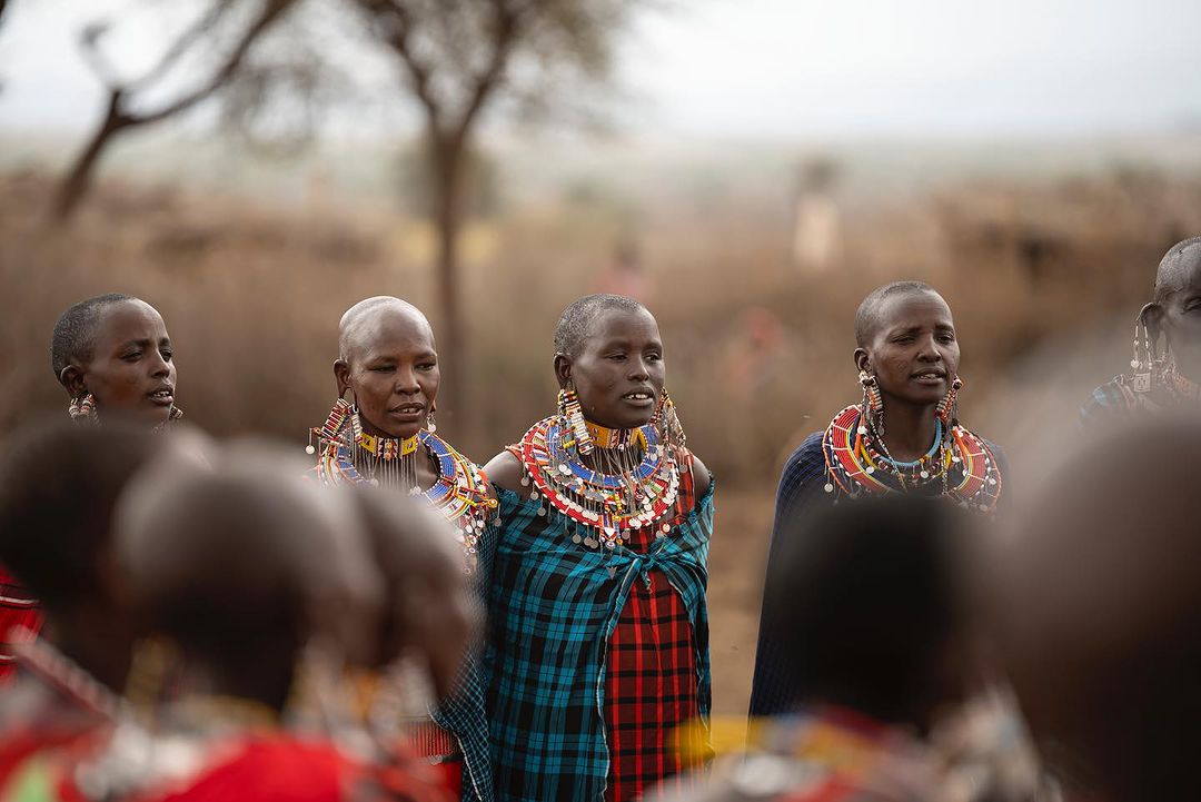 Elephant Pepper Camp tweet media