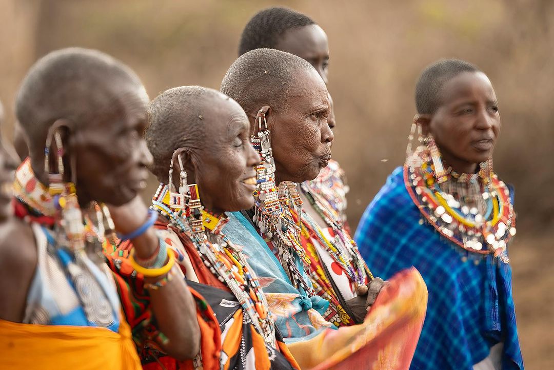 Elephant Pepper Camp tweet media