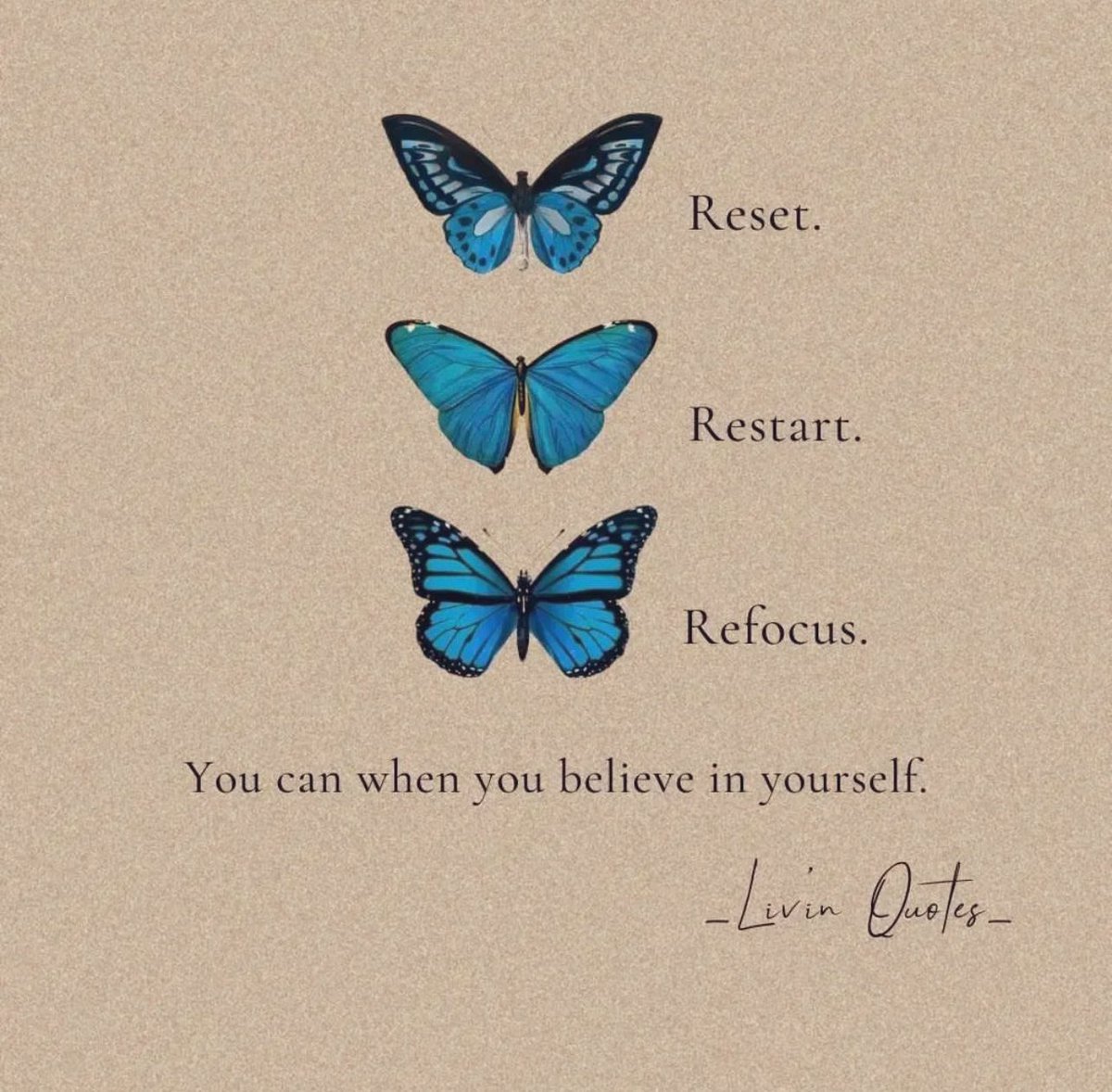oak_sch's tweet photo. Have a terrific Tuesday. Just one small positive thought in the morning can change your whole day☀️

#Tuesdaymotivation #Tuesdaythoughts #goals #Mindfulness #mindful #meditate #meditation #mentalhealth #Wellbeing #wellness #tuesdayvibe #peace #love #joy https://t.co/aQtkmXryDn