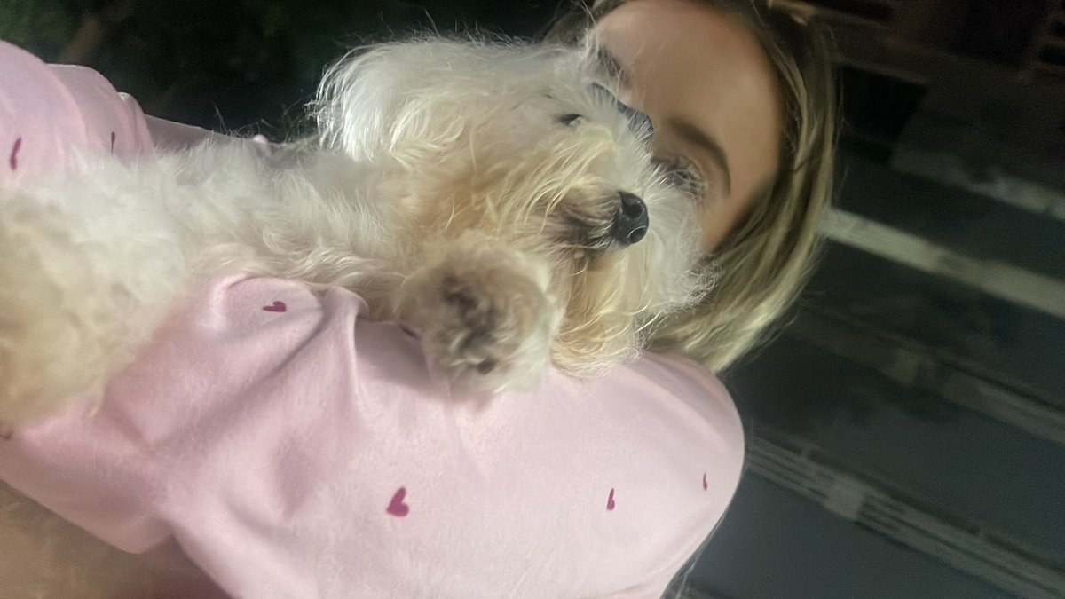 ivy_jd's tweet photo. ¿Por qué en Panamá casi nadie sale de los edificios? Yo bien mandada saliendo con mi perrita a la calle por si hay réplicas https://t.co/u6yaRJYaKF