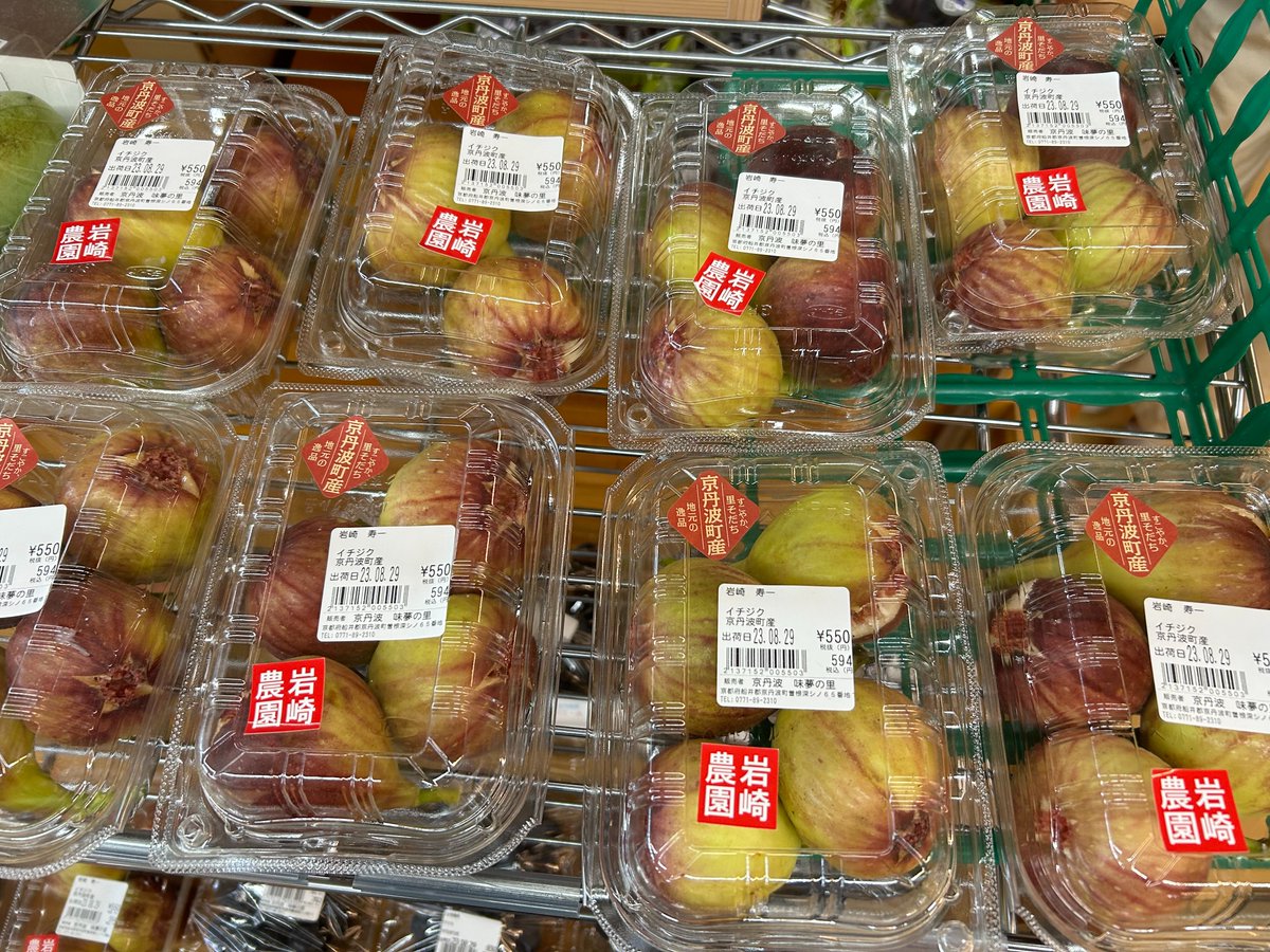 _micohoney's tweet photo. みみ「#京丹波マルシェ に美味しそうなブドウ🍇とイチジクが並んでるよ～🤤」
ここ「#秋の味覚 が並び始めましたね✨ほんと、美味しそうですね���」
みみ「秋の京丹波は美味しいものがたくさん！丹波栗も黒枝豆も出てくるのが楽しみだね💖どんな風に食べようかなぁ…💕😋」
#秋　#京丹波町 https://t.co/FzAiFxDFdF
