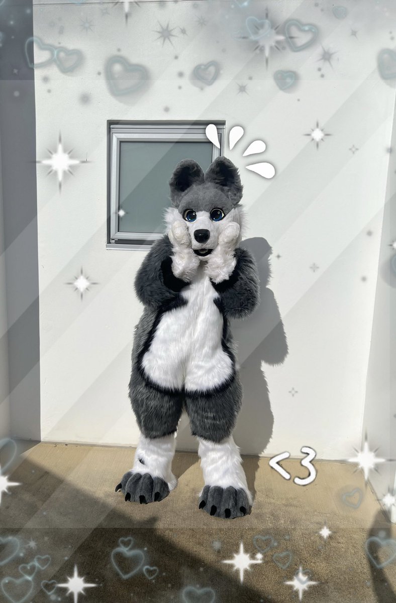 rainthewolff's tweet photo. Now a part of the fullsuit squad😼thanks to @Beaureg22280310 ! 
#fursuit #digitigradefursuit https://t.co/e8c1TM6kg3