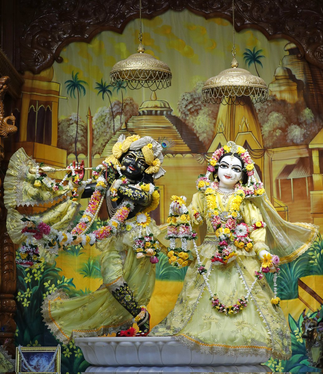 iskcon_noida's tweet photo. Hare Krishna,

Jhulan Yatra Day 3.

Sri Sri Radha Govind Dev ji Shringar Aarti Darshan, 29th Aug.

#iskcon_noida #radheshyam #devotional #harekrishna #srimatiradharani #radheradhe #radharani #krishna #krishnakrishna  #lordkrishna #spirituality #gauranga #bhakti #vrindavan https://t.co/BDa1YJddVF