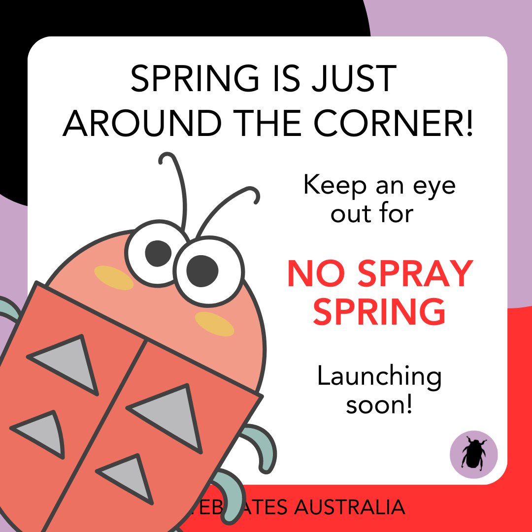 Invertebrates Australia 🪲 tweet media