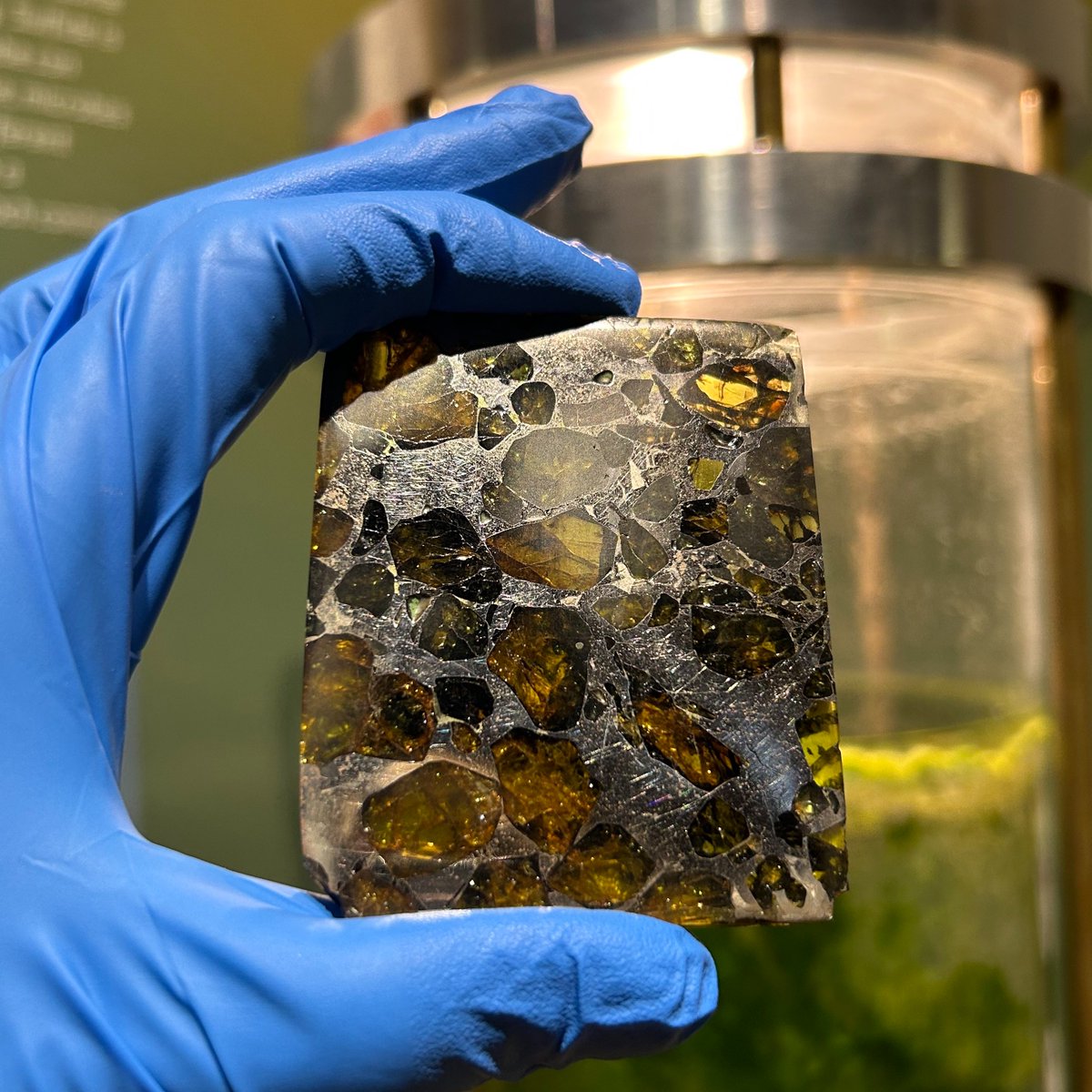 Pallasite meteorites can tell us about the earliest days of our solar system. This piece is cut and polished to show the cm-sized olivine crystals and sits on display with some of the oldest rocks on our planet!

#meteorite #peridot #olivine #shiny #outerspace #oldthings