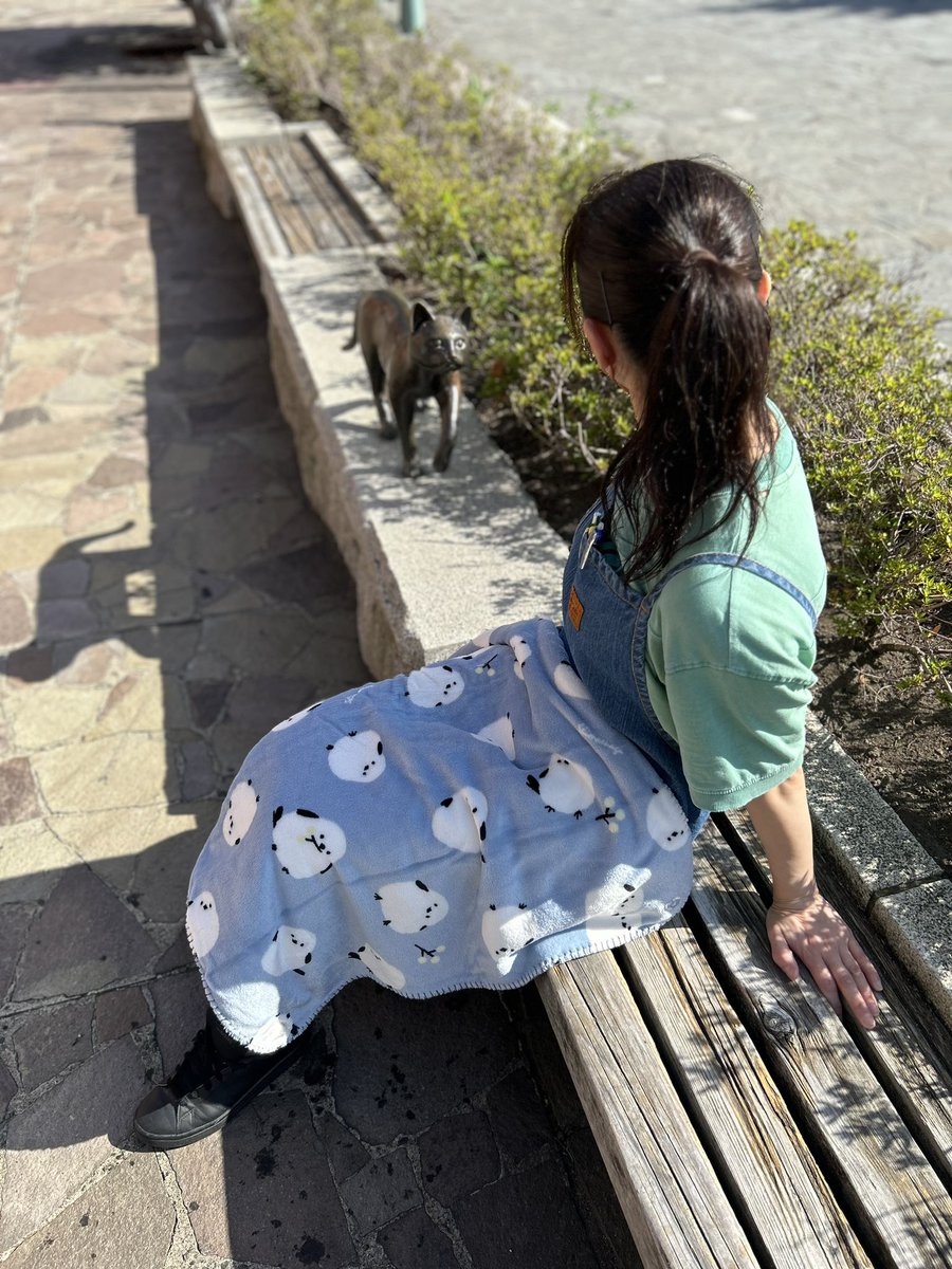 シマエナガの3WAY入荷しました🙆‍♀️
ボレロ、ひざ掛け、ポンチョ

着用してる店員の身長は158cm！
大人でも余裕で使えるサイズです😆✨
接触温感になってるのでふわふわで
暖かいです⛄️

そろそろ肌寒くなってくるので
1枚いかがですか💁‍♀️

#シマエナガ
#ひざ掛け
#函館
#赤レンガ倉庫