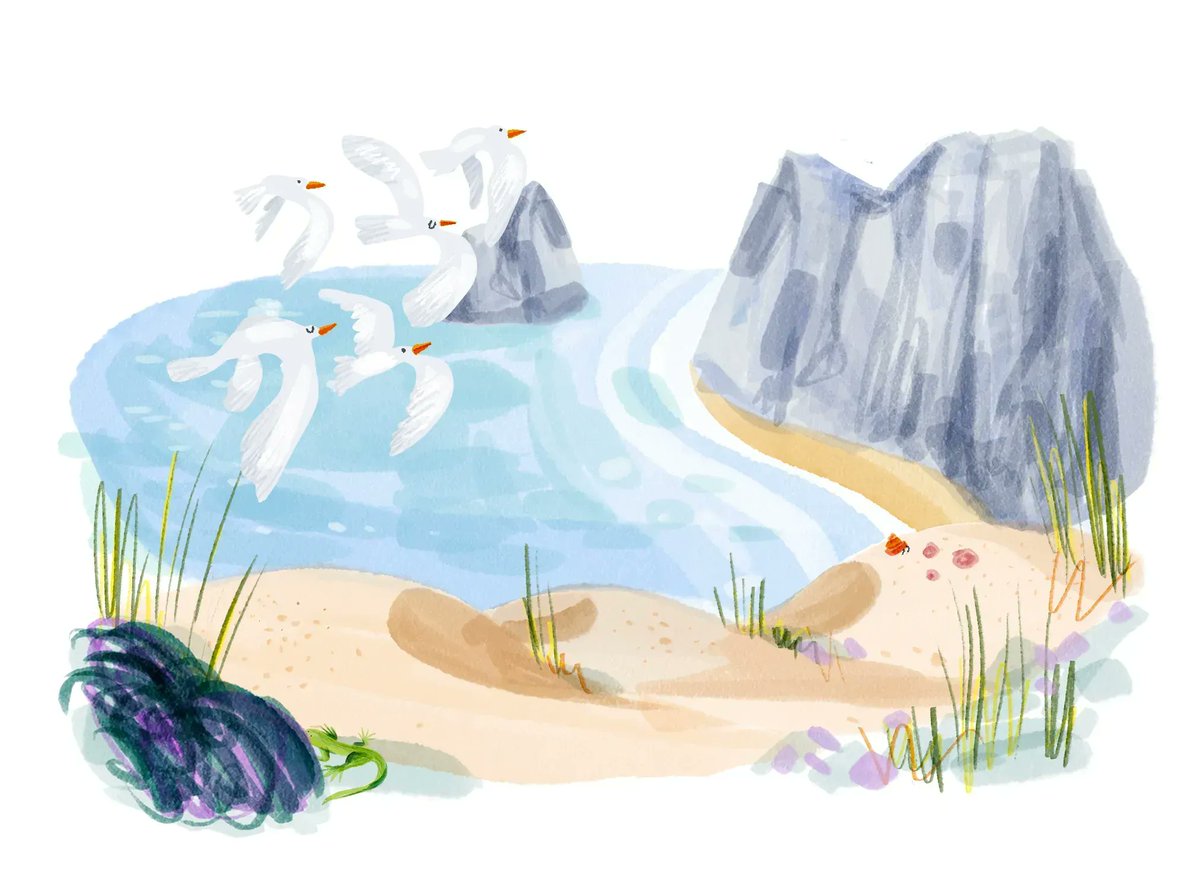 NetworkNature tweet media