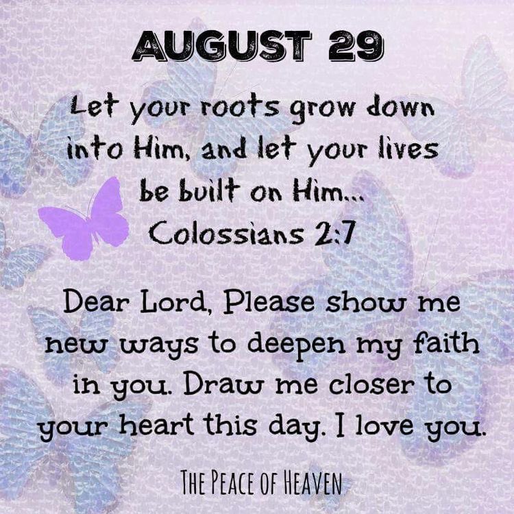 Wishing ~ Everyone a great~ Tuesday! God bless you!🙏🏼🕊️💜🦋🕊️💜🦋🕊️💜🦋🕊️💜🦋🕊️💜🦋