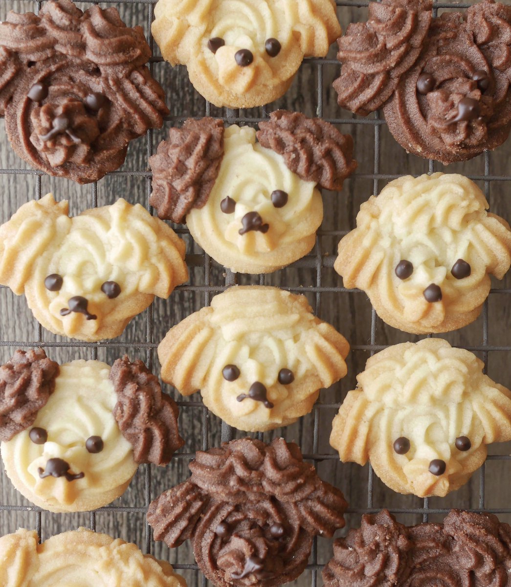 komimi_533's tweet photo. 姪っ子来訪にそなえてモコモコな犬のクッキー作りました🐶
最後のほう生地足りなくて前髪が一九分けになった子がいる…！
#お菓子作り #コッタ https://t.co/XKV4uBz4R7