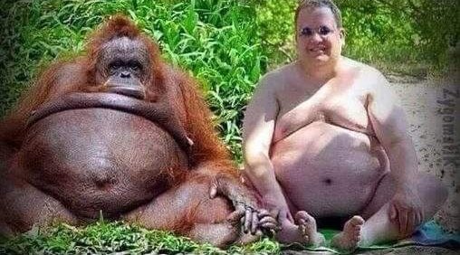 Virginie2R's tweet photo. 2 millions d'années d'évolution juste pour perdre des poils 😂😂 bon mardi à  tous ! 💋💙💚💛🧡❤️💋 https://t.co/YS974E36gK