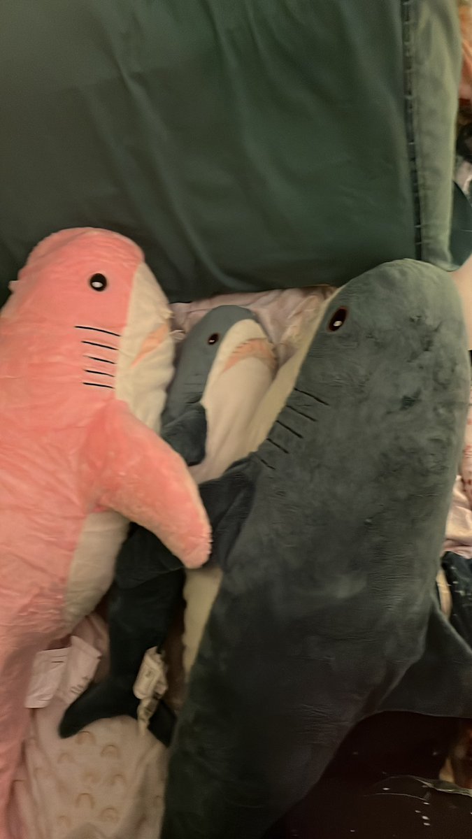 I Follow Women tweet media