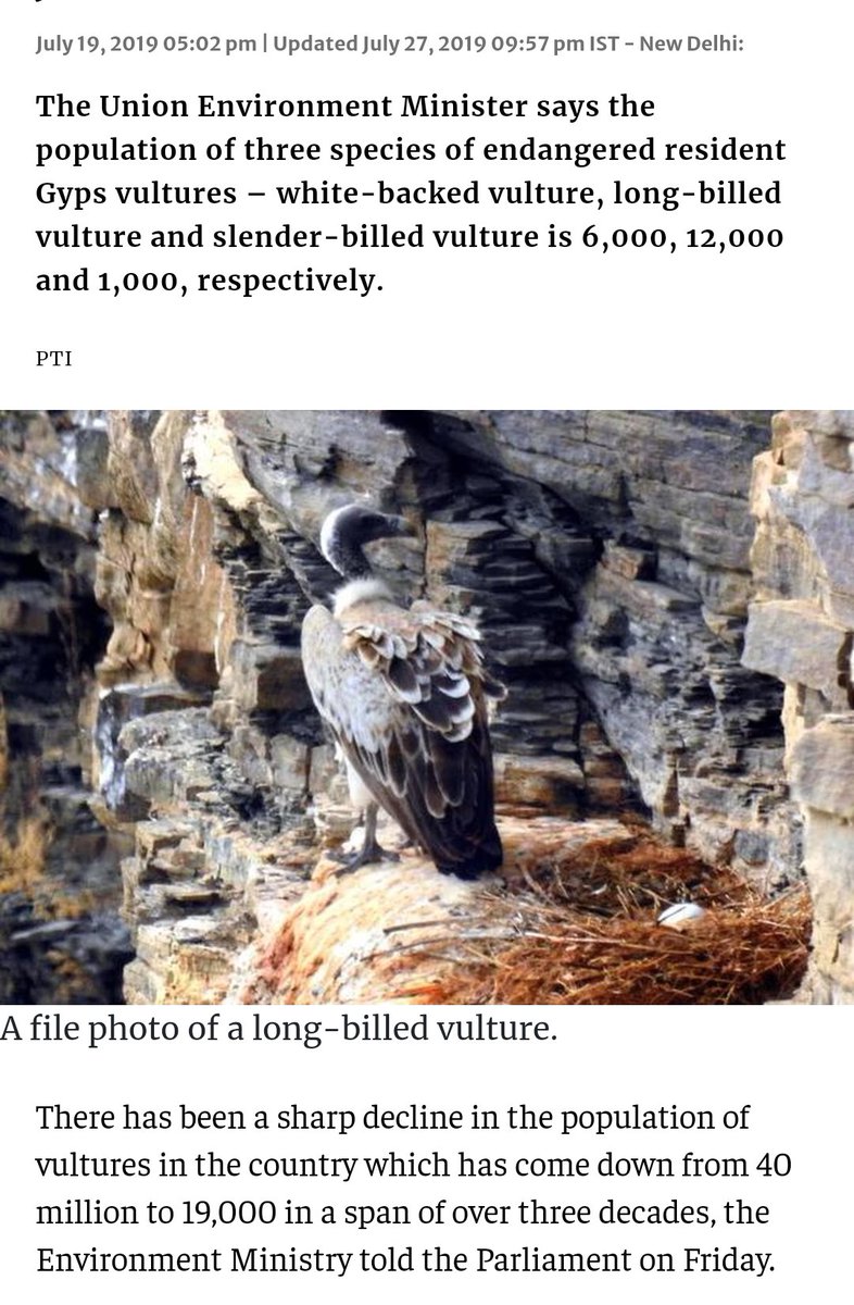 DipakRanjanPar2's tweet image. Sharp decline in vulture population in India, from 40 million to 19,000 from 1990 to 2019 
Prime reason:-consumption of dumped poisoned carcasses in cities
#savevulture #saveecosystem @moefcc
@wii_india @Jairam_Ramesh @byadavbjp @PMOIndia @pccfodisha @PCCFWL_Odisha @ForestDeptt