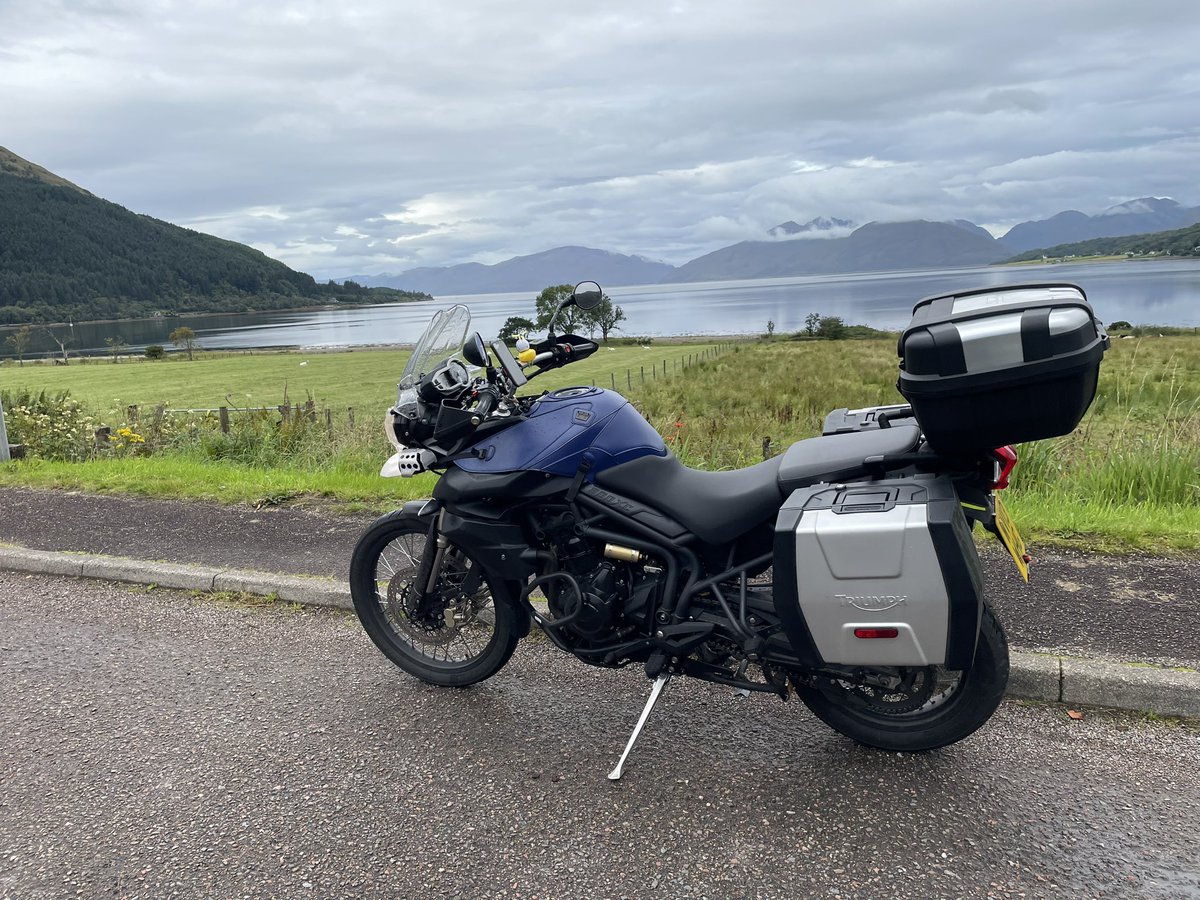 Adele Bealey tweet media