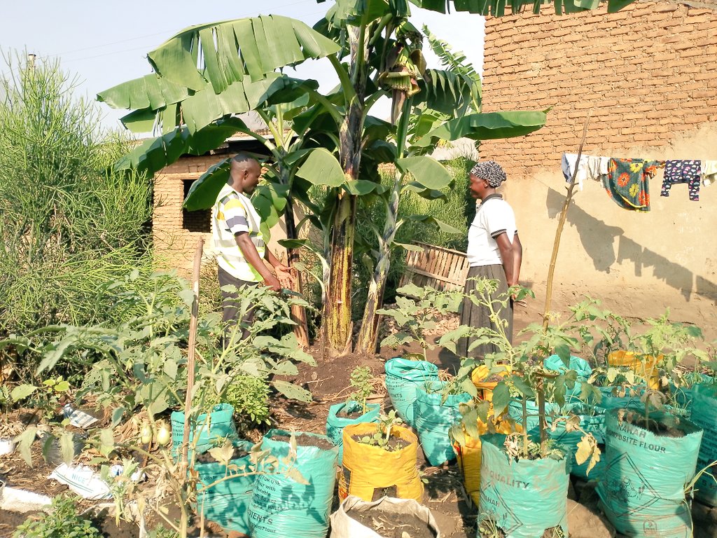 Maru_foundation's tweet photo. We need a shift in our #cookinghabits to eat more food cooked from scratch, with more vegetables &amp; fiber.

It will require a huge cultural shift. But it's very possible. The practice will enable a healing of our nature &amp; also have organic &amp; self prepared foods.

#wtpEARTH #ActNow https://t.co/t87np5xpQt