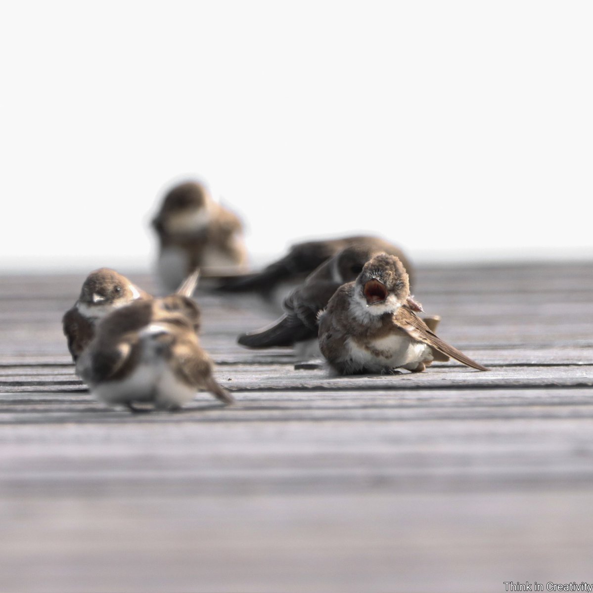 Good morning! Coffeetime☕️