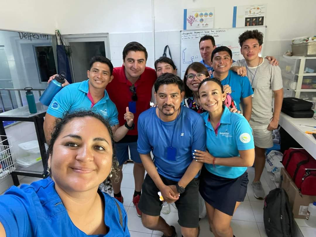 Después de un largo día con los delfines, tocó utilizar el Sonoeye P6Vet microconvexo para realizar estudios en 13 ajolotes que han sido rescatados. Simplemente increíble.