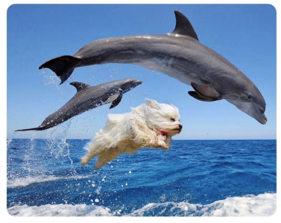 Nic Spaull tweet media