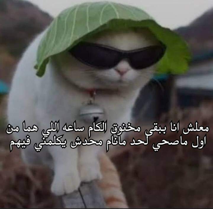 Toonzatt's tweet photo. مهم: https://t.co/bOYy8lb926