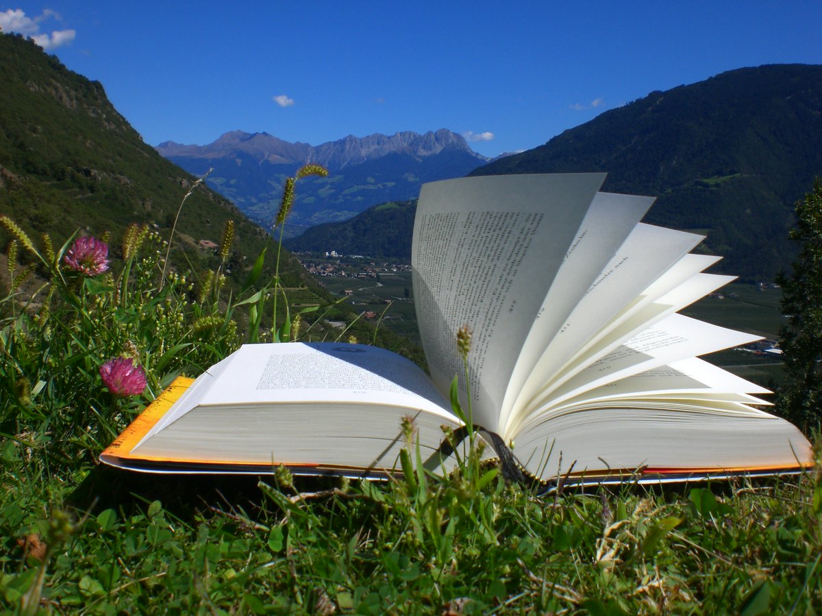 BibStMarien's tweet photo. Liebe Leserinnen und Leser,

unsere nächste Buchplauderei
ist am Do, 5. Oktober, um 19 Uhr,
in der Bibliothek St. Marien

diesmal plaudern wir über
"Die spürst du nicht"
von Daniel Glattauer

Mehr unter
https://t.co/YGvzeP4eKO

#Buchplauderei #Literaturkreis #Bibliothek #StMarien https://t.co/mlKh4NPEdK