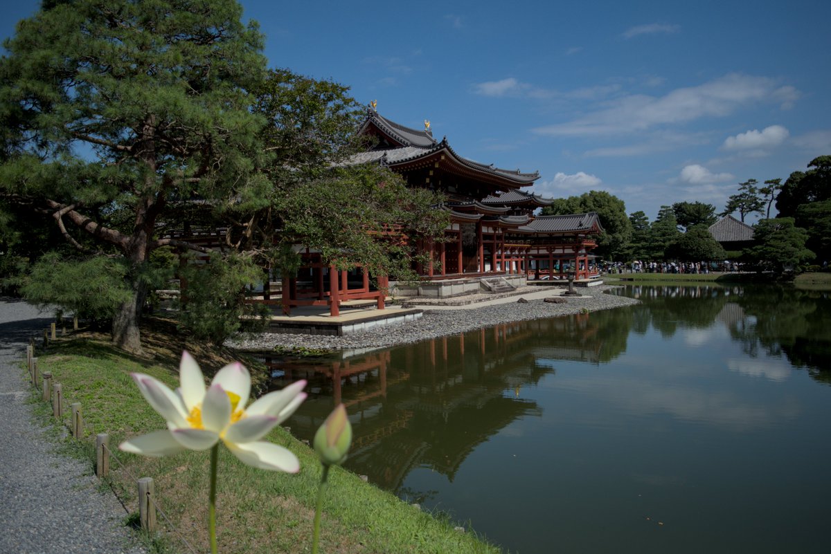 TheRealCerbere's tweet photo. Je vous partage quelques photo du Byodo-in, magnifique temple et jardin du Japon dans la ville d'Uji. Ce temple est d'ailleurs présent sur les pièces de 10 Yen. 
Byodo-In @Uji #Japan #voyage #travel #temple https://t.co/3XgOkT2VmX